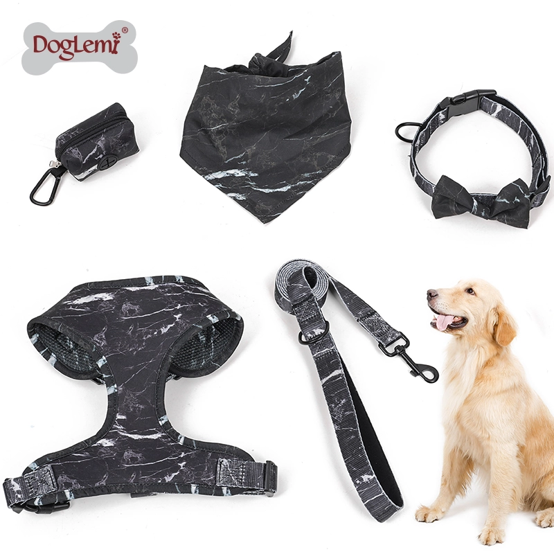 Correa para perro Arnés para el pecho Collar Pickup Aseo Collar Correa Chaleco Arnés para mascotas Conjunto