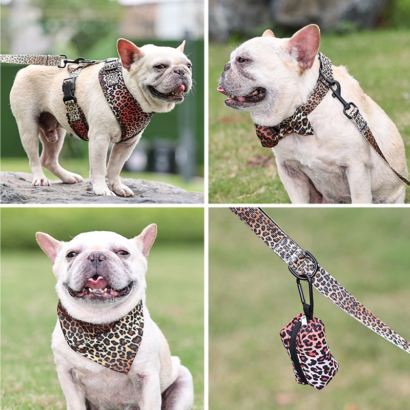 Correa para perro Arnés para el pecho Collar Pickup Aseo Collar Correa Chaleco Arnés para mascotas Conjunto