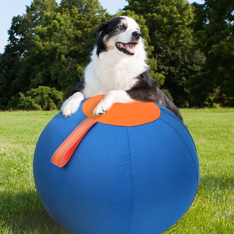 Großer Hüteball für Hundewelpen, 18-Zoll-Hundespielzeug, großer Hundeball, Rinderhunderennen und Herdenball