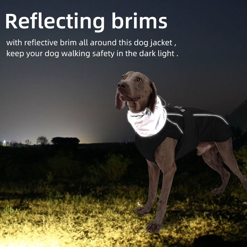 Costume de fabricant pour animaux de compagnie, vêtements imperméables pour grands chiens, vêtements pour chiots