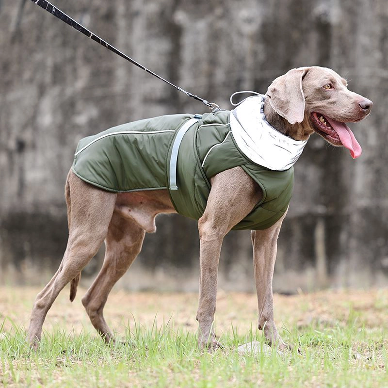 Costume de fabricant pour animaux de compagnie, vêtements imperméables pour grands chiens, vêtements pour chiots