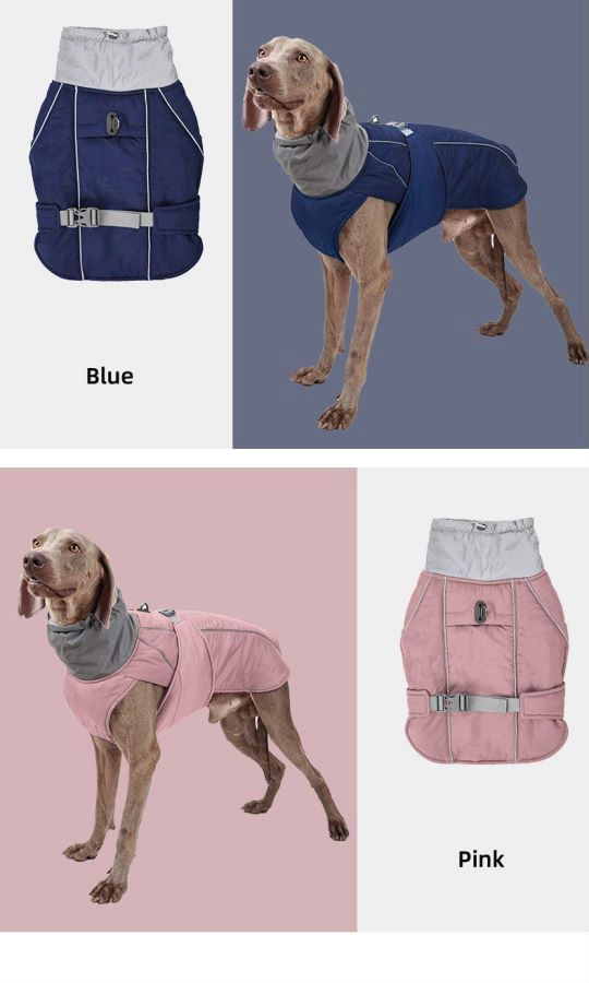 Costume de fabricant pour animaux de compagnie, vêtements imperméables pour grands chiens, vêtements pour chiots