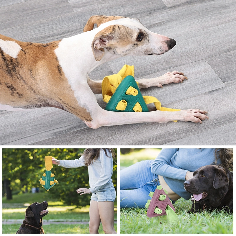 Interactive IQ Training Puzzle Toy for Pet Enrichment and Boredom Relief