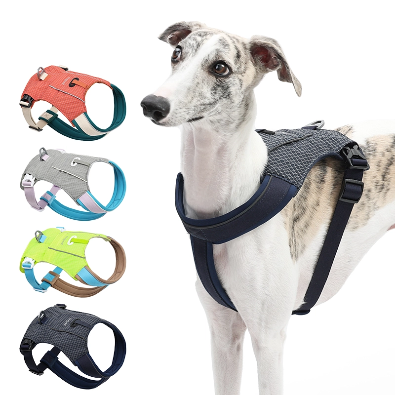 China Custom Luxury Dog Harness Set Adjustable No Pull Heavy Duty Logo Print Harnesses Pet Safety Backpack Packaging Harness manufacturer