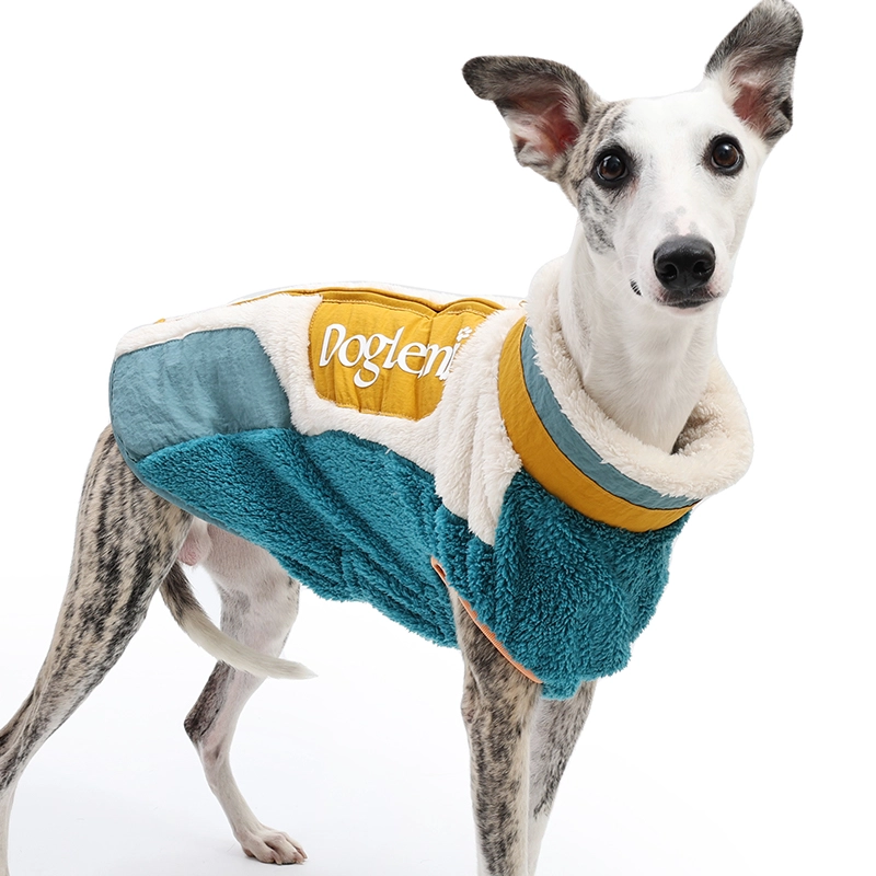 Factory Direct Luxus-Stil, elegante Hundejacke für Reisen, tragbare Neon-Samt-Hundejacke für Spaziergänge im Freien