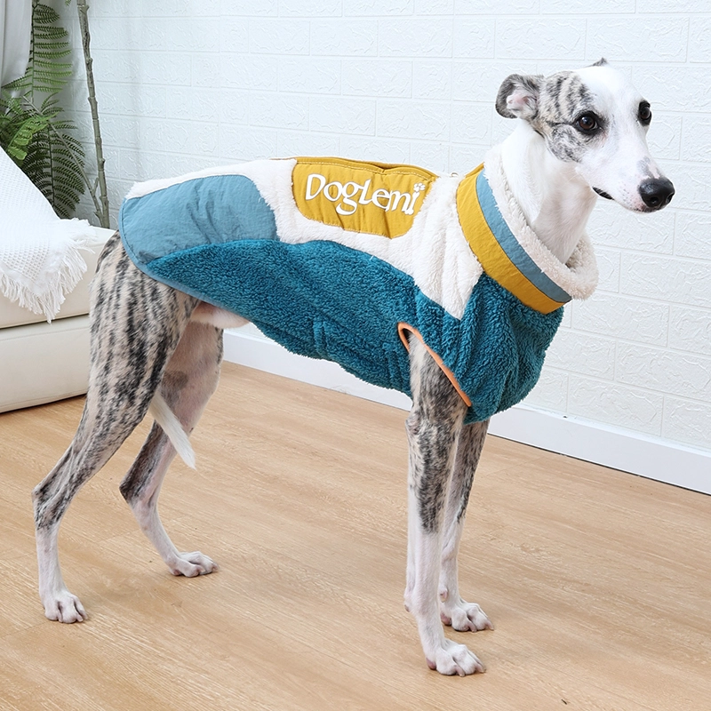 Factory Direct Luxus-Stil, elegante Hundejacke für Reisen, tragbare Neon-Samt-Hundejacke für Spaziergänge im Freien