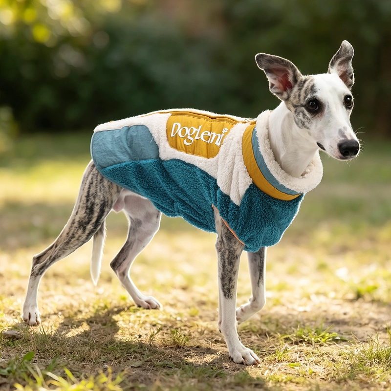 Factory Direct Luxus-Stil, elegante Hundejacke für Reisen, tragbare Neon-Samt-Hundejacke für Spaziergänge im Freien
