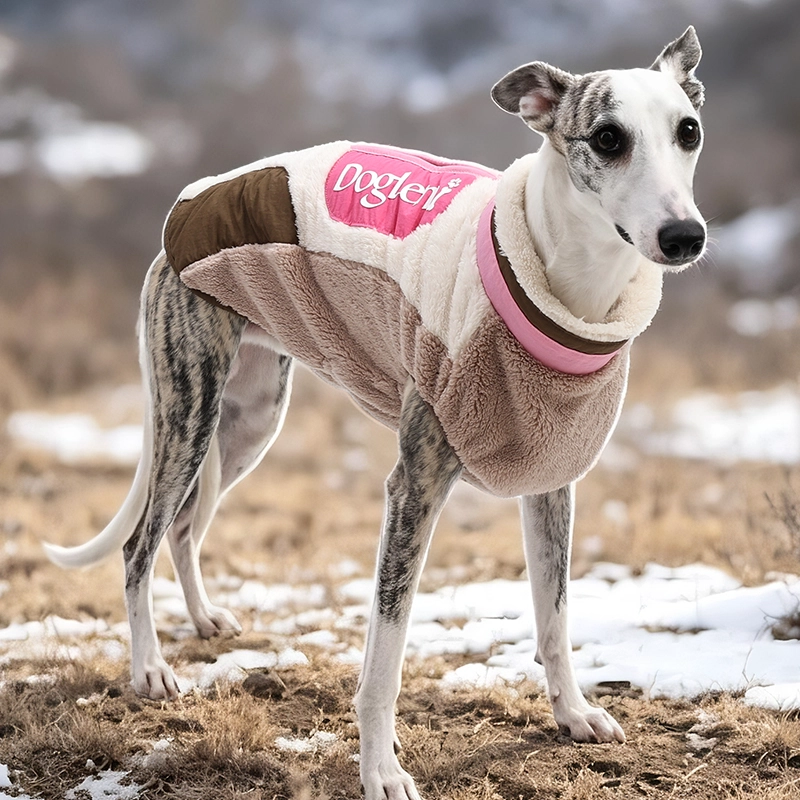 Factory Direct Luxus-Stil, elegante Hundejacke für Reisen, tragbare Neon-Samt-Hundejacke für Spaziergänge im Freien