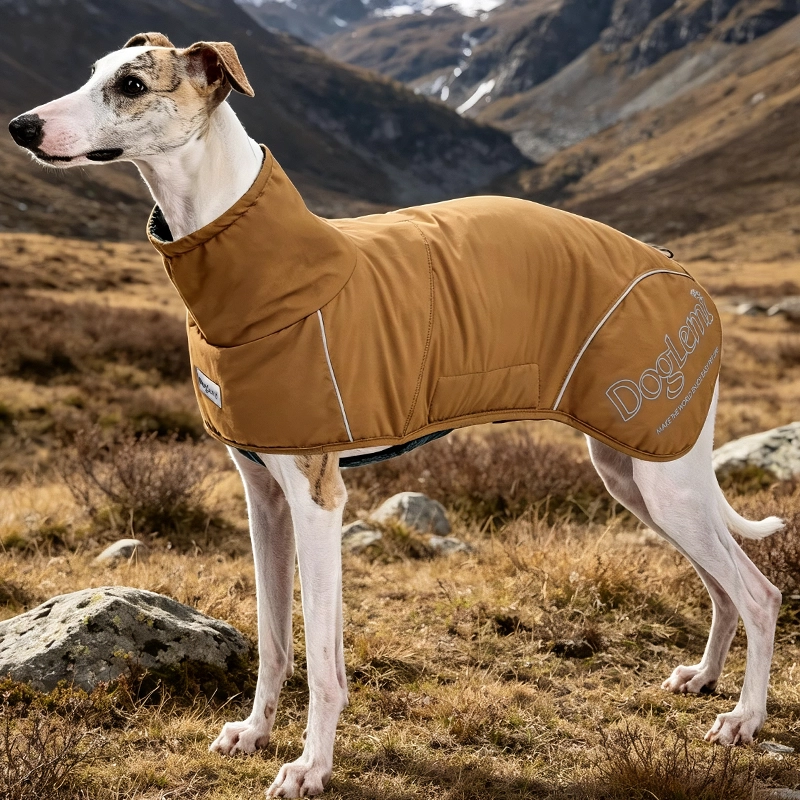 Direkt ab Werk, modisch, stilvoll, bequem, für den Winter, verdickt, warm, Winterkleidung für Hunde, Haustierkleidung für Hunde