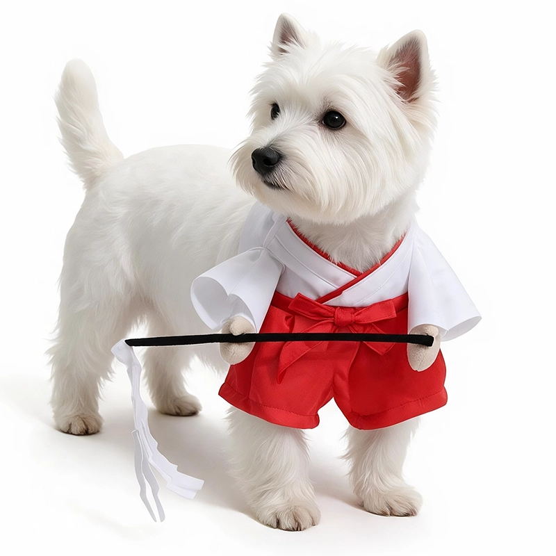 China Neues Design, weiche, hautfreundliche, leicht zu reinigende Haustierkleidung, Halloween-Hexenkostüm für Haustiere, Weihnachtskostüme für Haustiere Hersteller