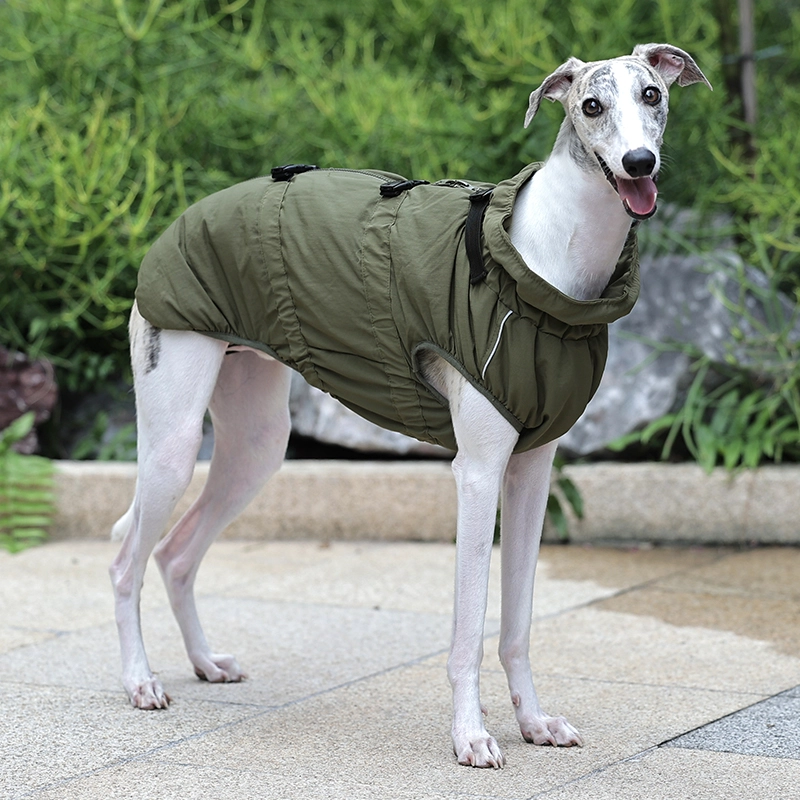 Style de luxe, ajustement confortable, facile à mettre et à enlever, manteau imperméable en nylon Ripstop pour chien pour la marche en plein air.