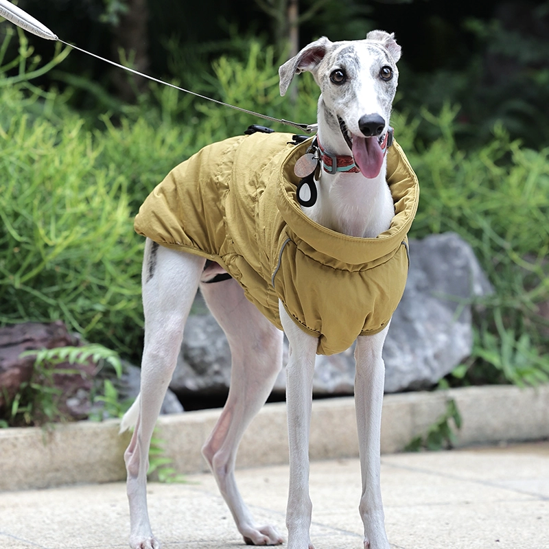 Style de luxe, ajustement confortable, facile à mettre et à enlever, manteau imperméable en nylon Ripstop pour chien pour la marche en plein air.