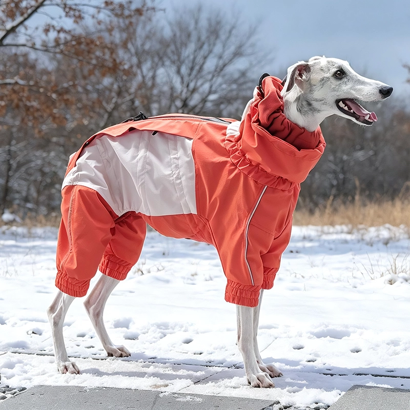 Vêtements d'hiver pour chiens, tissu Composite à trois couches avec Logo personnalisé, hydrofuge de qualité supérieure, collier réglable à Double couche