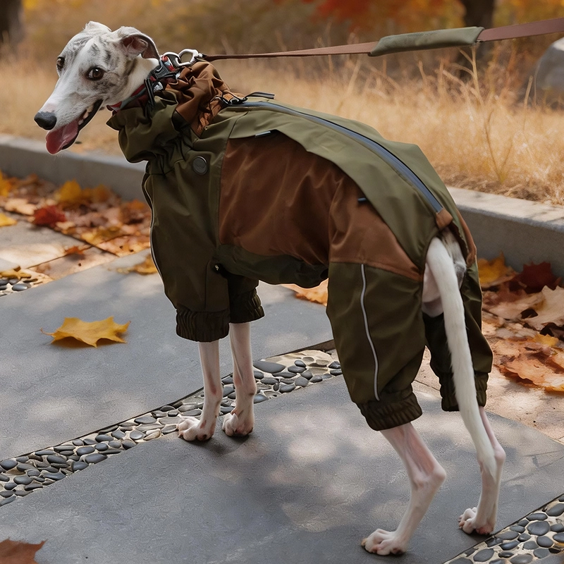 Vêtements d'hiver pour chiens, tissu Composite à trois couches avec Logo personnalisé, hydrofuge de qualité supérieure, collier réglable à Double couche