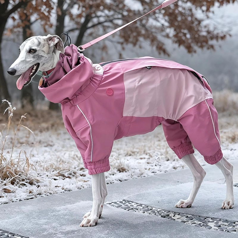 Vêtements d'hiver pour chiens, tissu Composite à trois couches avec Logo personnalisé, hydrofuge de qualité supérieure, collier réglable à Double couche