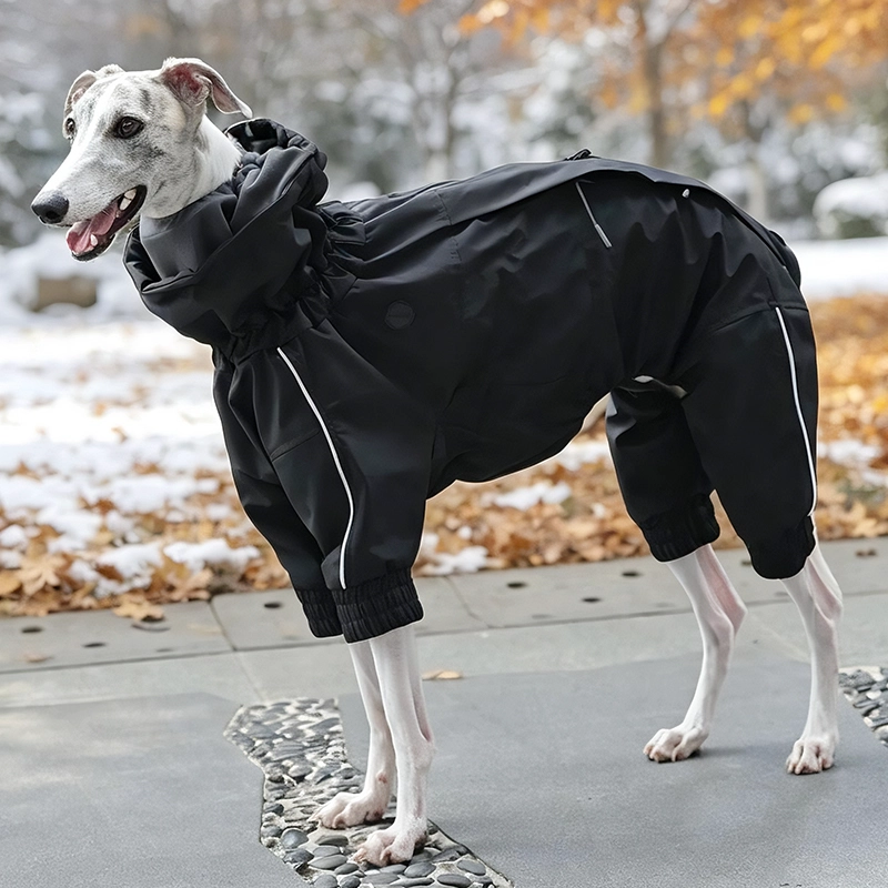 Vêtements d'hiver pour chiens, tissu Composite à trois couches avec Logo personnalisé, hydrofuge de qualité supérieure, collier réglable à Double couche