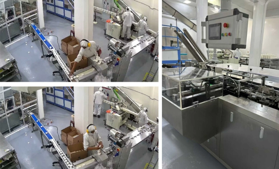 Peru — Cartoner Integrated with Pillow Packing Machine