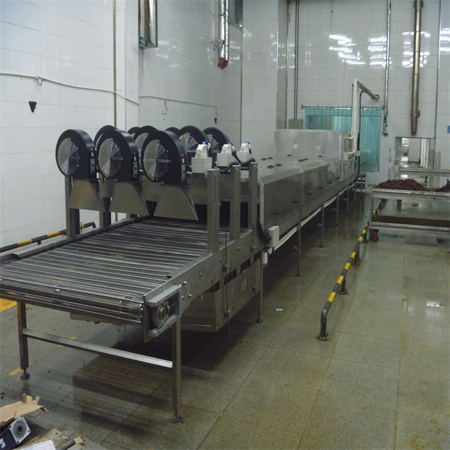 China Supplier High capacity Cheap Durable Enrober Chocolate Machine Cooling Tunnel