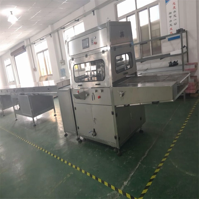 Leading China High capacity Cookies, Pretzels Enrobing Machine