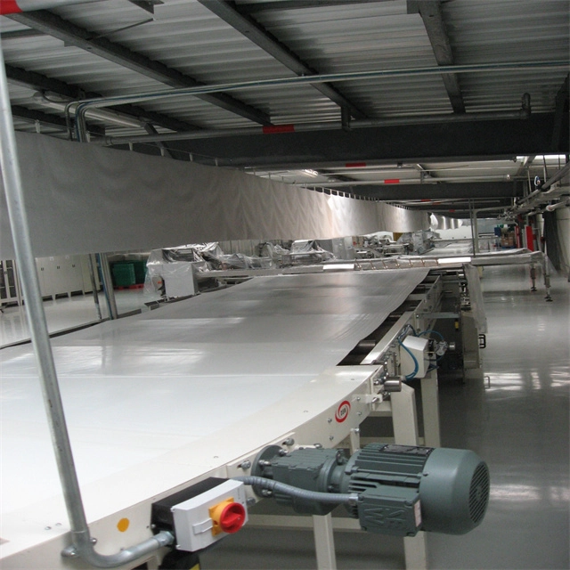 Hot Sell High Quality Stainless Steel Cookies Cooling tunnel