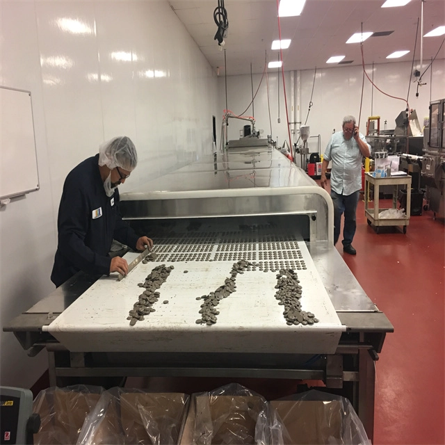 Acciaio inossidabile multifunzione cioccolato e caramelle in porcellana di raffreddamento di raffreddamento a food tunnel
