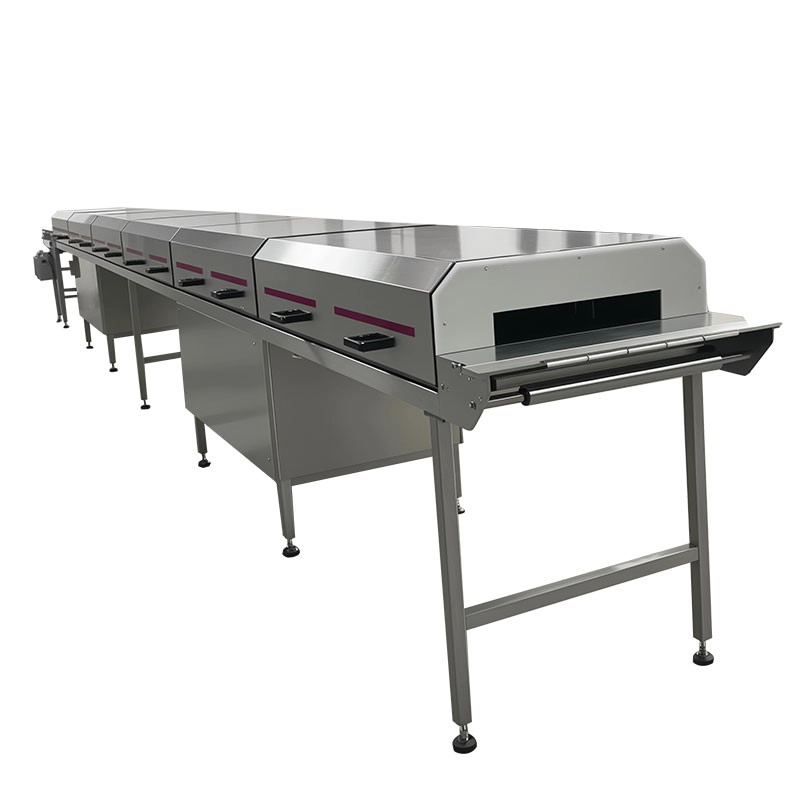 Cina Fabbrica di dispositivi di raffreddamento per macchine per cioccolato con tunnel di raffreddamento a nastro mini personalizzabile in Cina produttore