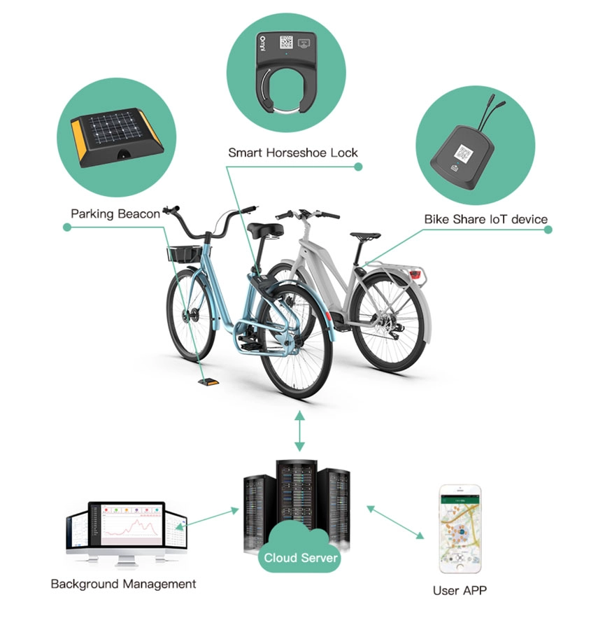 bike sharing programs