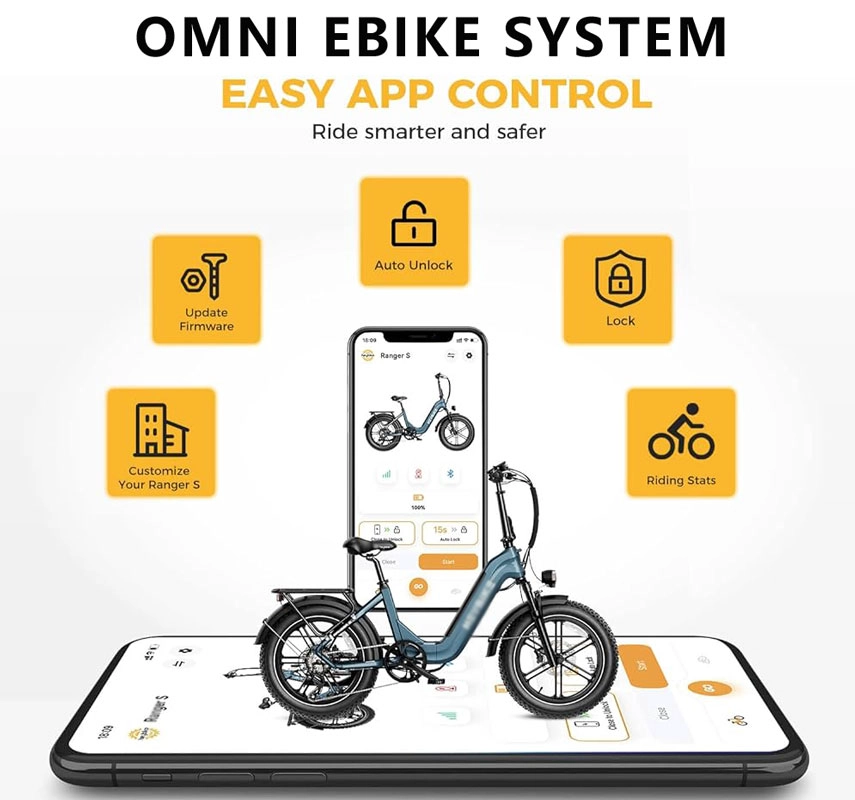ebike system