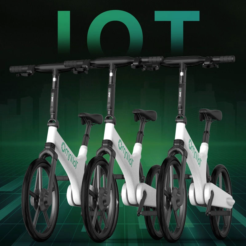 ebike system