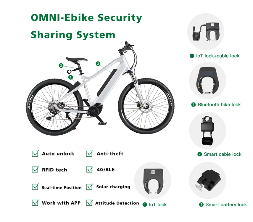 ebike system