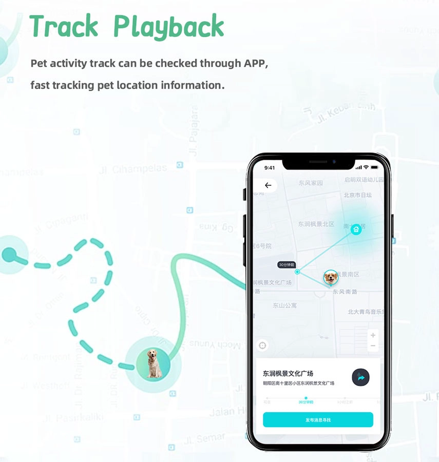 dog tracking system