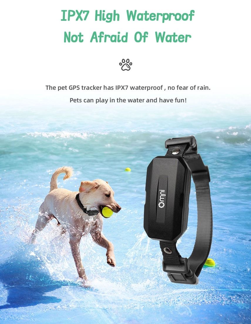 gps pet tracker for dogs