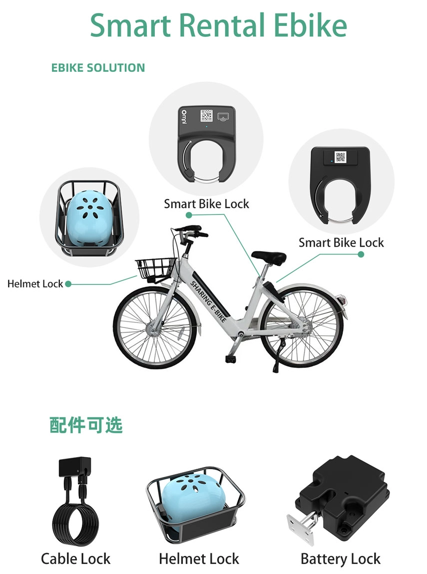 ebike system