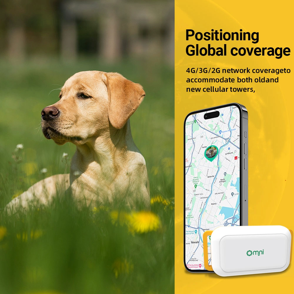 Globalny zasięg lokalizatora GPS dla zwierząt domowych