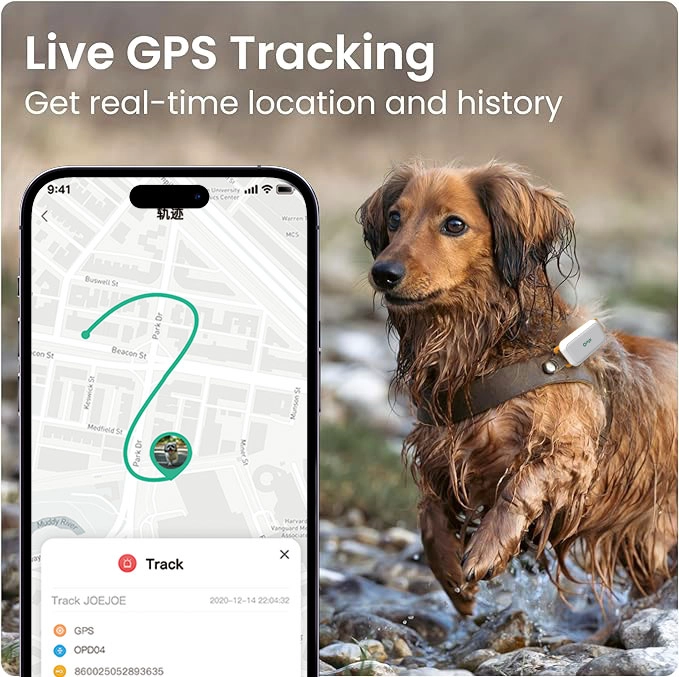 Globalny zasięg lokalizatora GPS dla zwierząt domowych