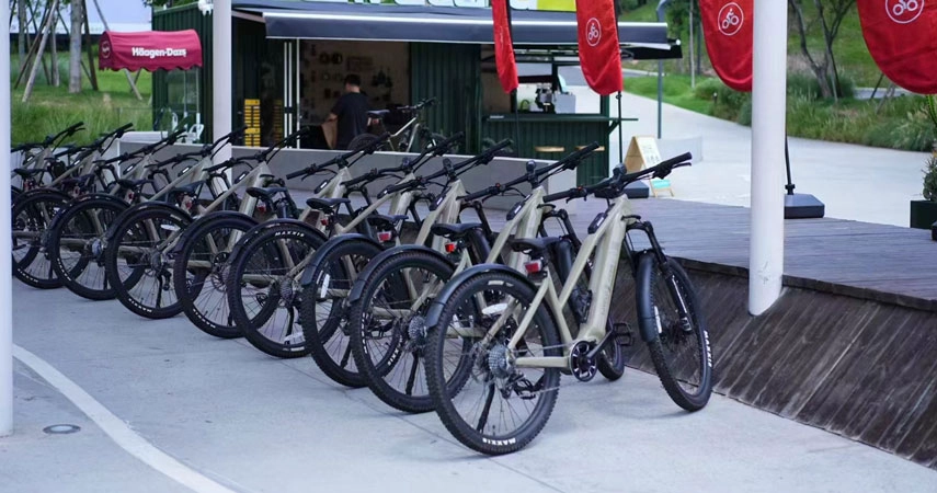 bike sharing programs