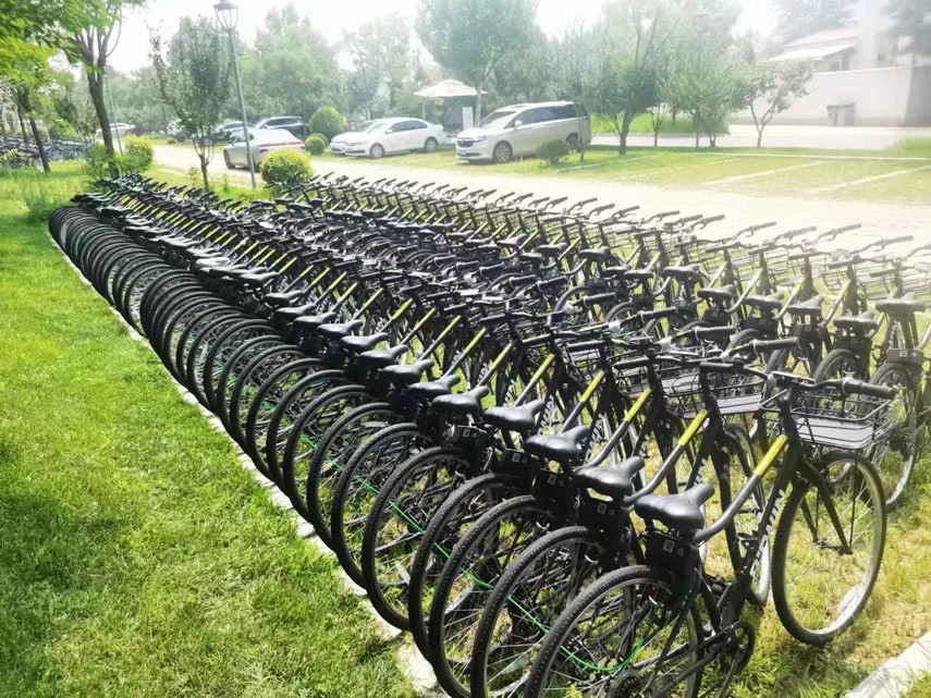 remote bike lock