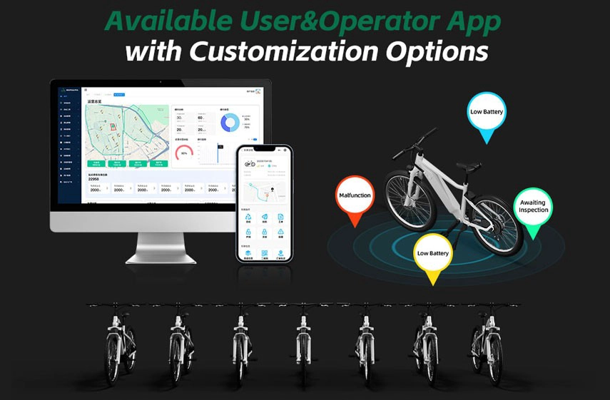 electric bicycle display