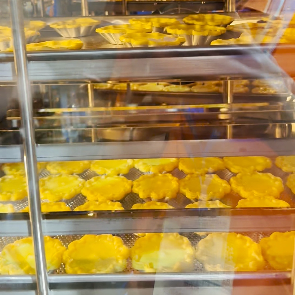 5 Trays Hot Air Rotary Convection Oven with Proofer