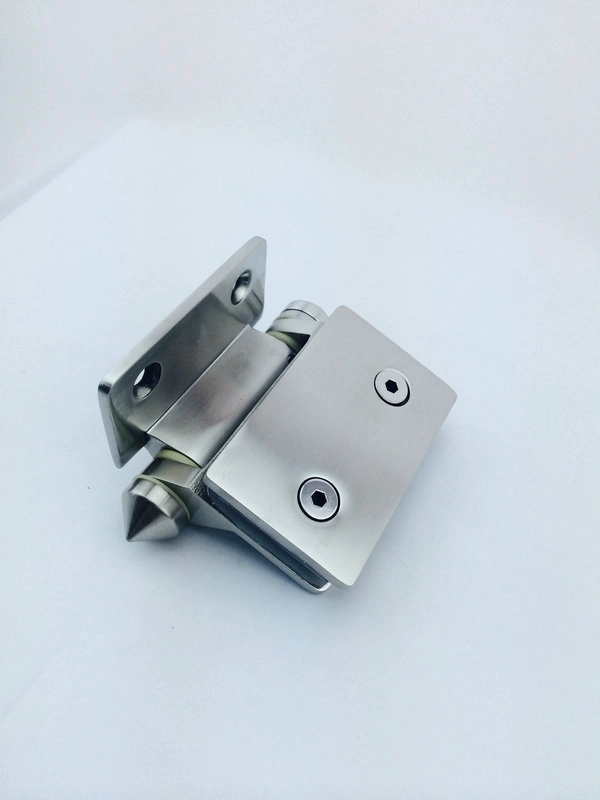 Cerniere per porte vetro-vetro in acciaio inox 316 per piscina