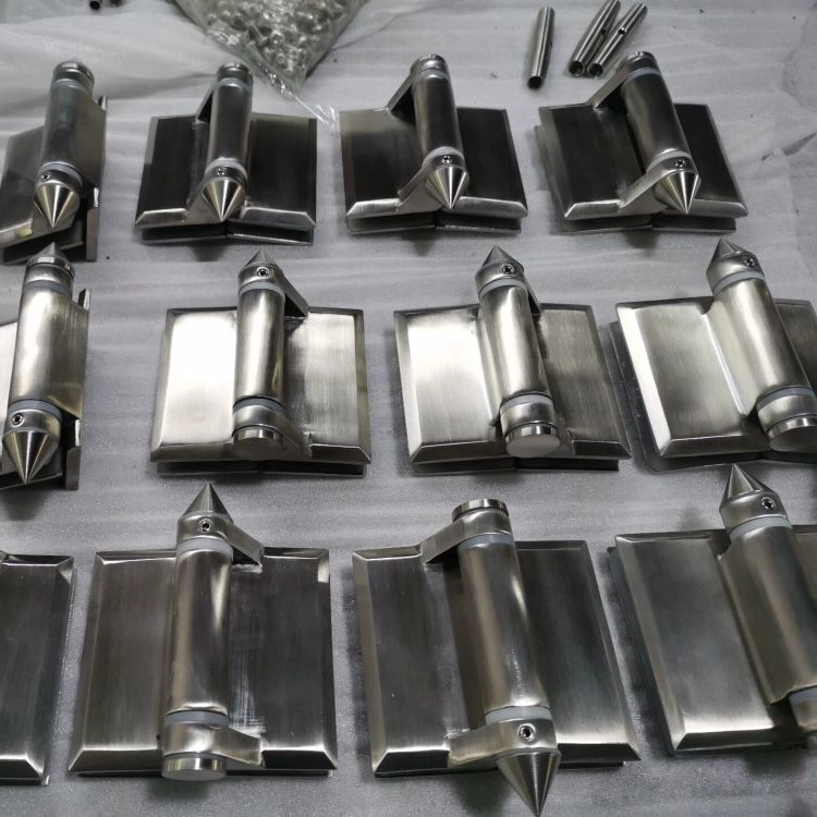 Swimming Pool Fencing Stainless Steel Glass Hinges Spring Hinges for Glass Door