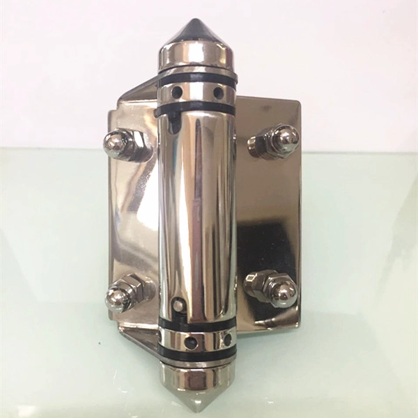 cheap price spring hinge for swimming pool fencing