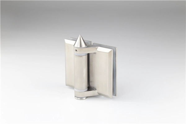 pool fencing stainless steel 316 self-closing glass door hinge