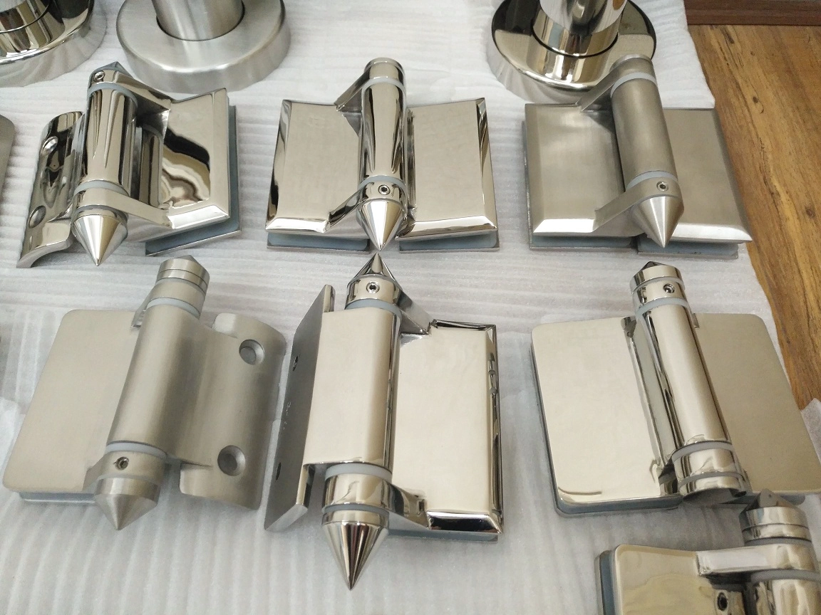 pool fencing stainless steel 316 self-closing glass door hinge