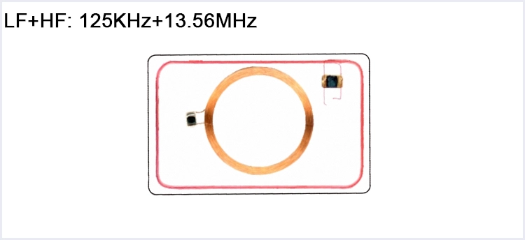 lf hf dual frequency rfid card
