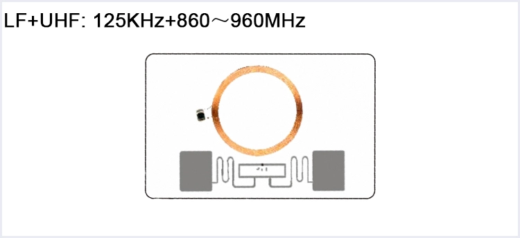 lf uhf dual frequency rfid card
