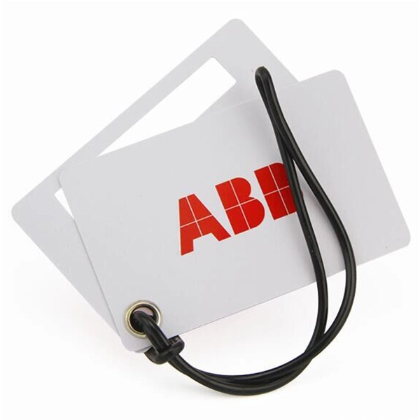 airplane luggage tag