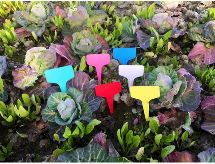 China Wholesale Customized UHF RFID Breeding Tags for Potted Plant Management manufacturer