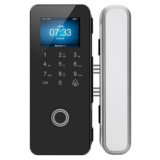 Xitoy 2,4 dyuymli TFT Smart barmoq izi shisha eshik qulfi ishlab chiqaruvchi