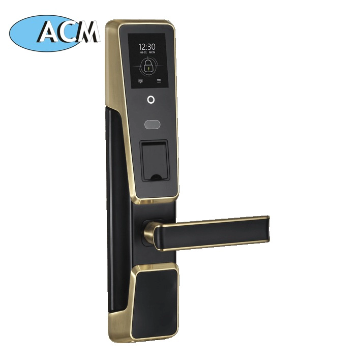 porcelana ACM-M100 Cerradura electrónica con manija de puerta pequeña oculta digital fabricante